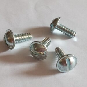 American License Plate mounting screws